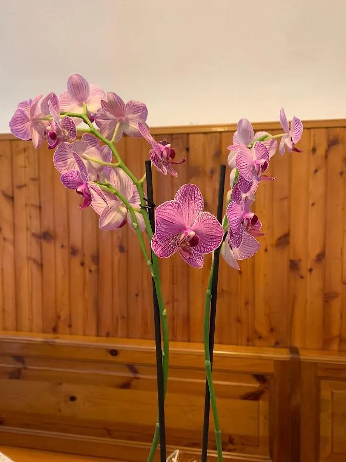 Orchidea Guest House Finale Ligure